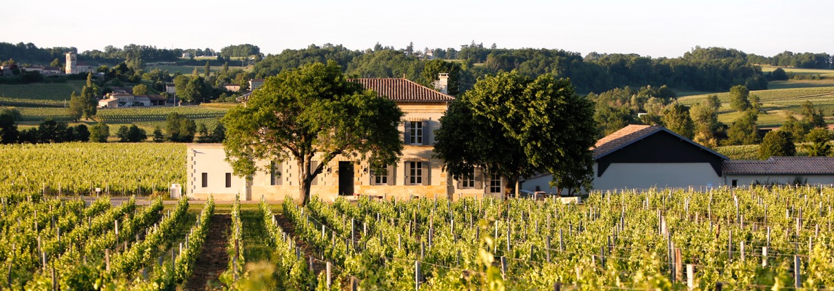 Château Grangey, Saint Emilion