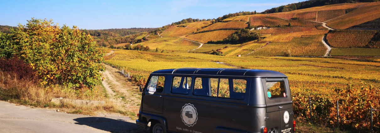 Wine Tour