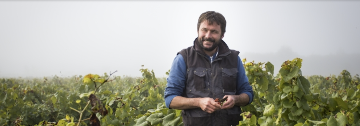 Domaine Bregeon