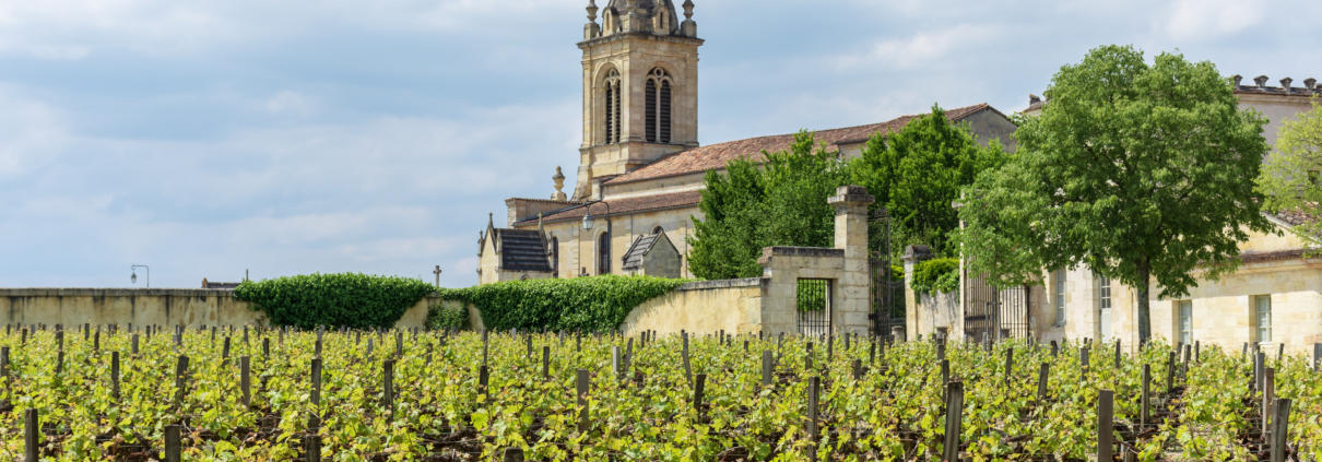 Vineyard,In,The,Village,Of,Margaux,,In,Medoc,(france) vignoble-margaux