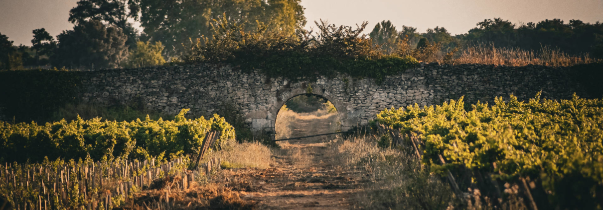 ChateauClimens